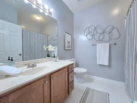 308 Sterling Oaks Drive Hoover AL 35244