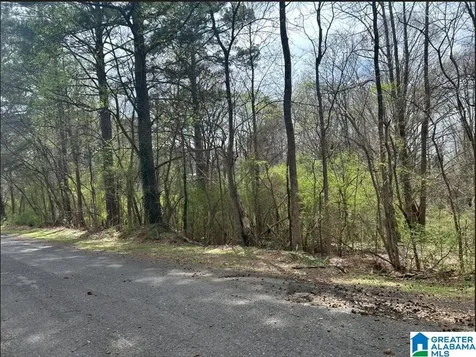 749 7th Street SE Graysville AL 35073
