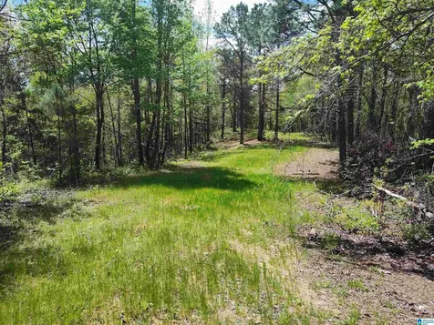 0 Little Tom Road Rockford AL 35136