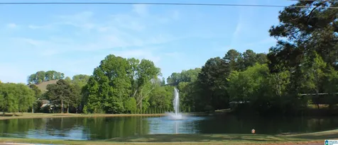 2224 Diane Drive Birmingham AL 35235