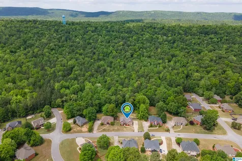 128 Magnolia Ridge Circle Chelsea AL 35043