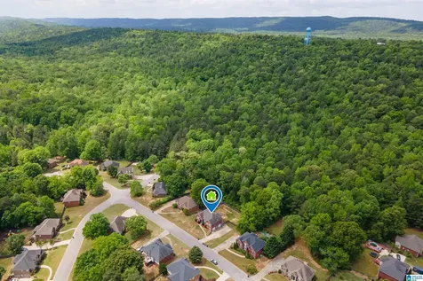 128 Magnolia Ridge Circle Chelsea AL 35043