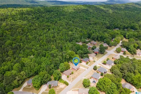 128 Magnolia Ridge Circle Chelsea AL 35043