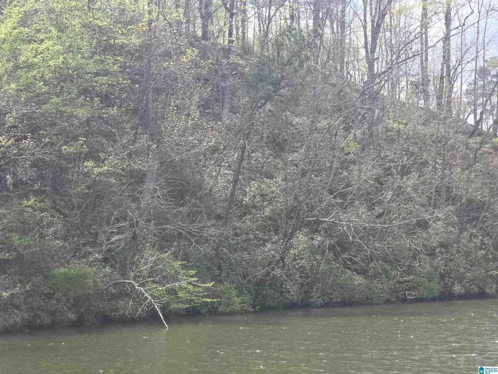 Lot 1 Eagle Mountain Road Rockford AL 35136