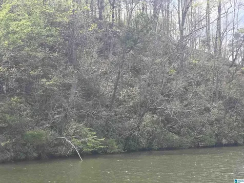 Lot 1 Eagle Mountain Road Rockford AL 35136