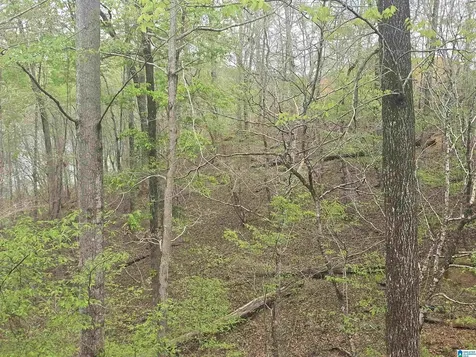 Lot 1 Eagle Mountain Road Rockford AL 35136