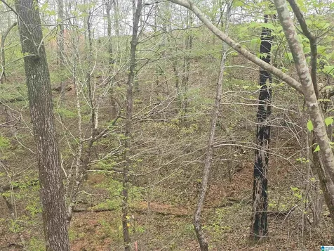 Lot 1 Eagle Mountain Road Rockford AL 35136
