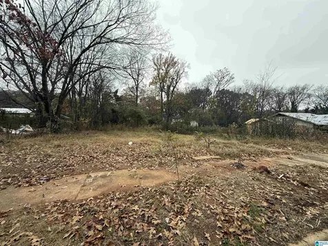 6515 3rd Avenue S Birmingham AL 35212