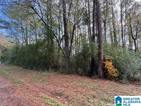 2201 White Post Road Bessemer AL 35023