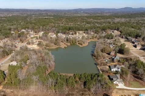 620 Emerald Trace Chelsea AL 35043
