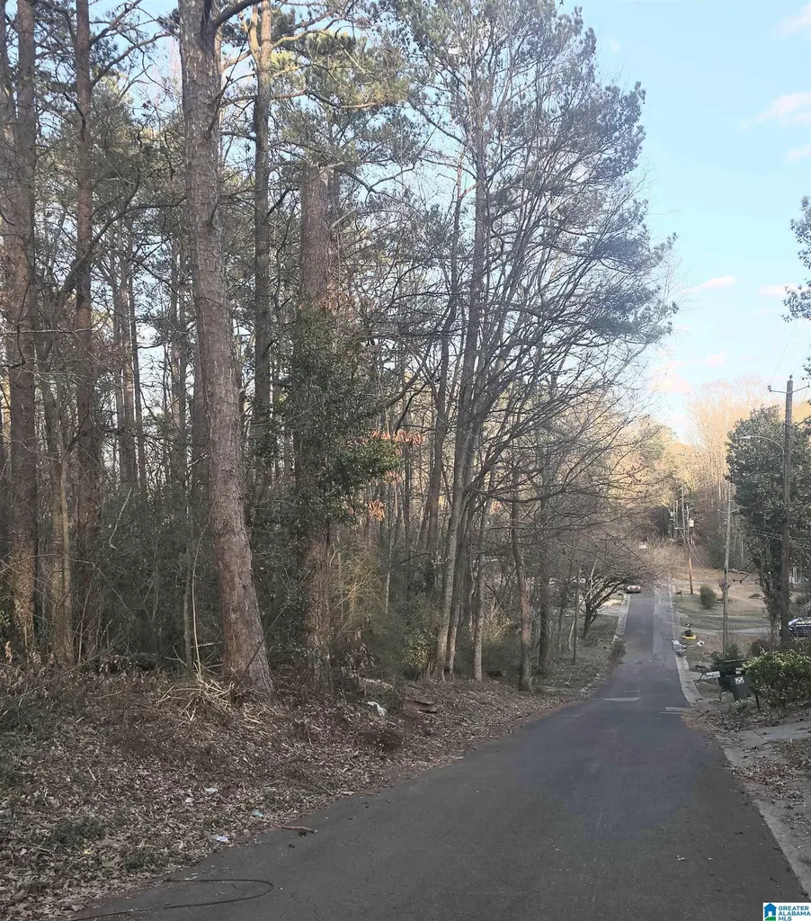 107 Chapel Drive Bessemer AL 35023