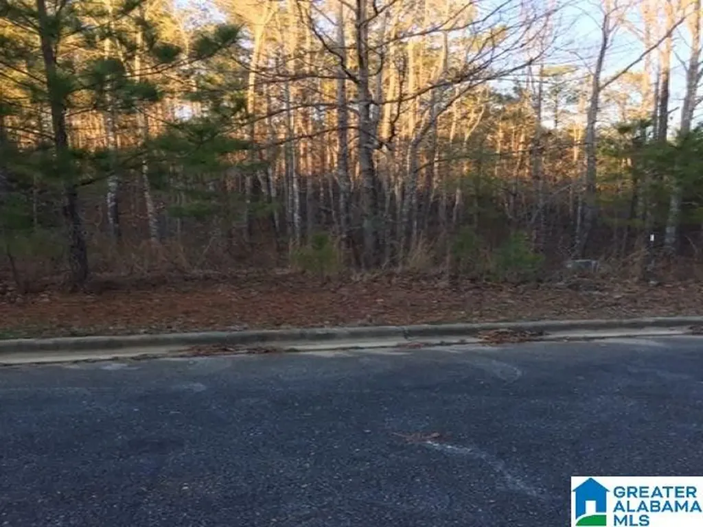 3605 Morgans Run Parkway Bessemer AL 35022