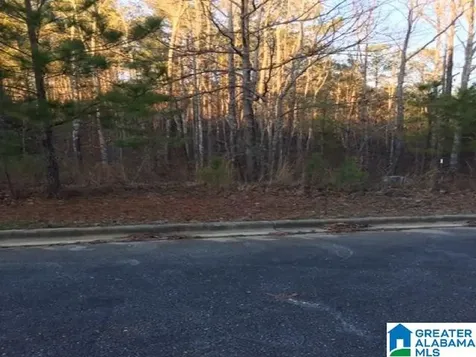 3605 Morgans Run Parkway Bessemer AL 35022
