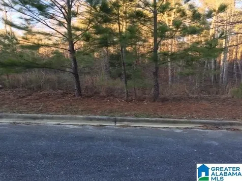 3605 Morgans Run Parkway Bessemer AL 35022