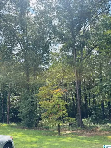 6215 Mountain Ridge Road Trussville AL 35173