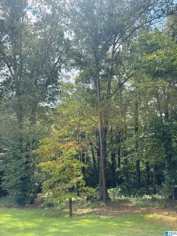 6215 Mountain Ridge Road Trussville AL 35173