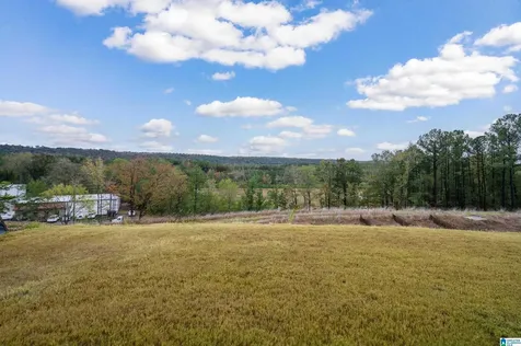 381 Huntley Ridge Bend Pelham AL 35124