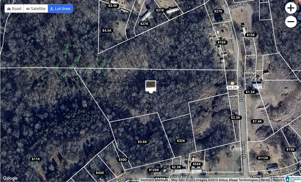 4223 Levine Avenue Graysville AL 35073