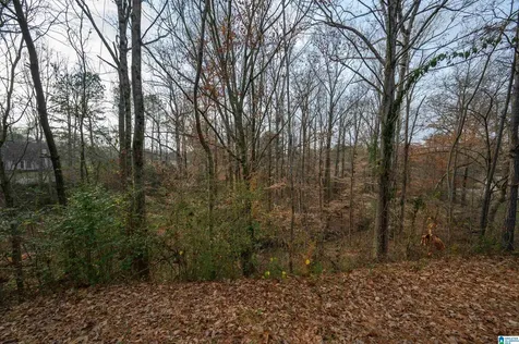 324 Falliston Court Helena AL 35080