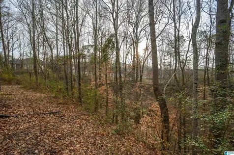 324 Falliston Court Helena AL 35080