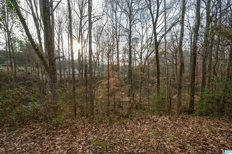 324 Falliston Court Helena AL 35080