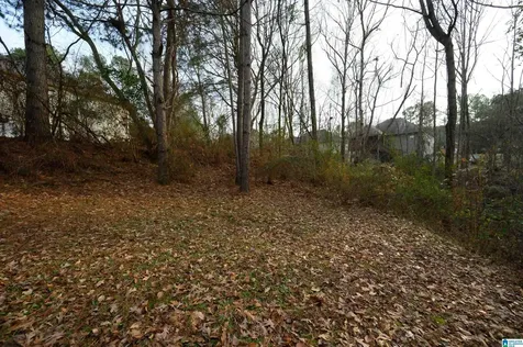324 Falliston Court Helena AL 35080