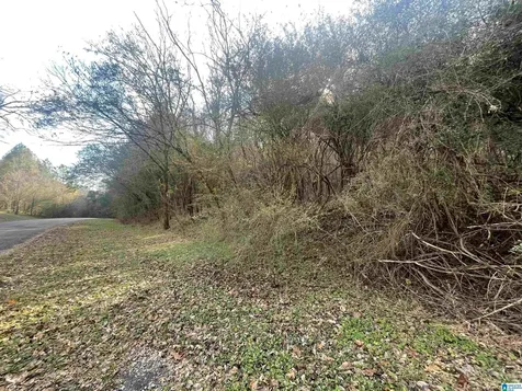 4380 Cherry Avenue Graysville AL 35073