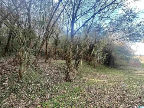 4380 Cherry Avenue Graysville AL 35073