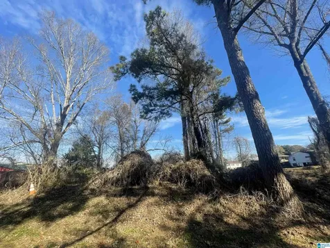 142 6TH Court SW Graysville AL 35073