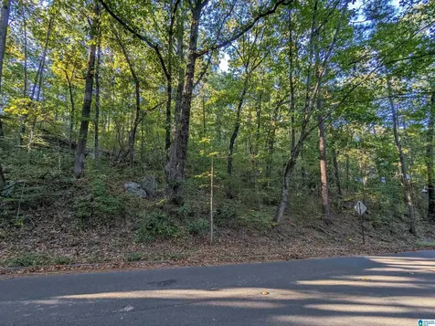 3245 Verdure Drive Hoover AL 35226