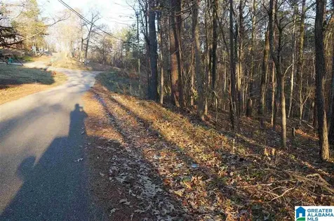 0 Azalea Road Sylacauga AL 35150