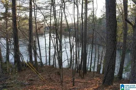 0 Azalea Road Sylacauga AL 35150