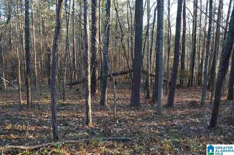 0 Azalea Road Sylacauga AL 35150