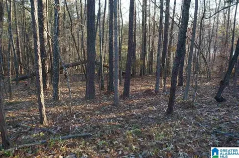 0 Azalea Road Sylacauga AL 35150
