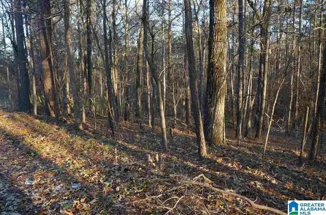 0 Azalea Road Sylacauga AL 35150