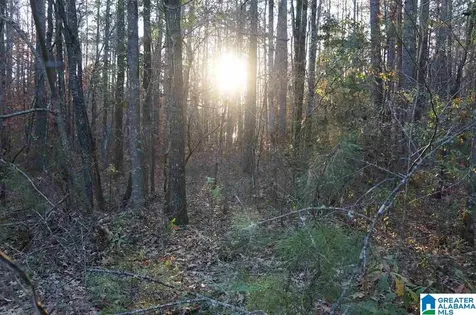 0 Deer Run Road Sylacauga AL 35150