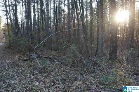 0 Deer Run Road Sylacauga AL 35150