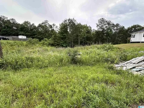 230 Virginia Way Odenville AL 35004