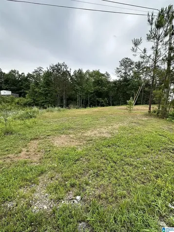 230 Virginia Way Odenville AL 35004