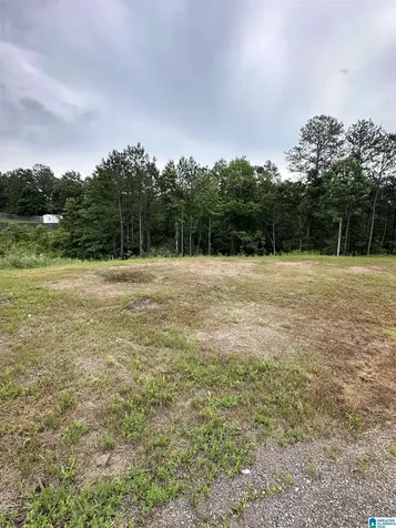 230 Virginia Way Odenville AL 35004