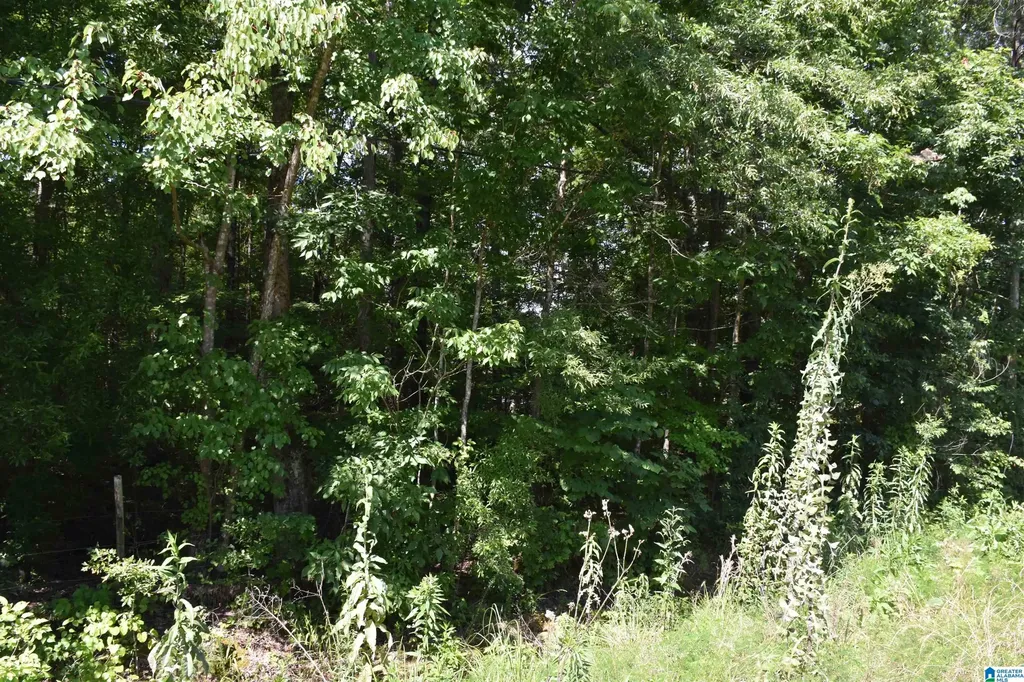 0 Old Sylacauga Highway Sylacauga AL 35150