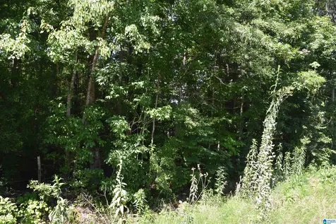 0 Old Sylacauga Highway Sylacauga AL 35150