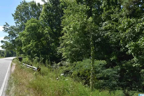 0 Old Sylacauga Highway Sylacauga AL 35150