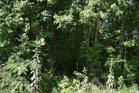 0 Old Sylacauga Highway Sylacauga AL 35150