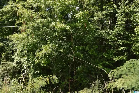 0 Old Sylacauga Highway Sylacauga AL 35150