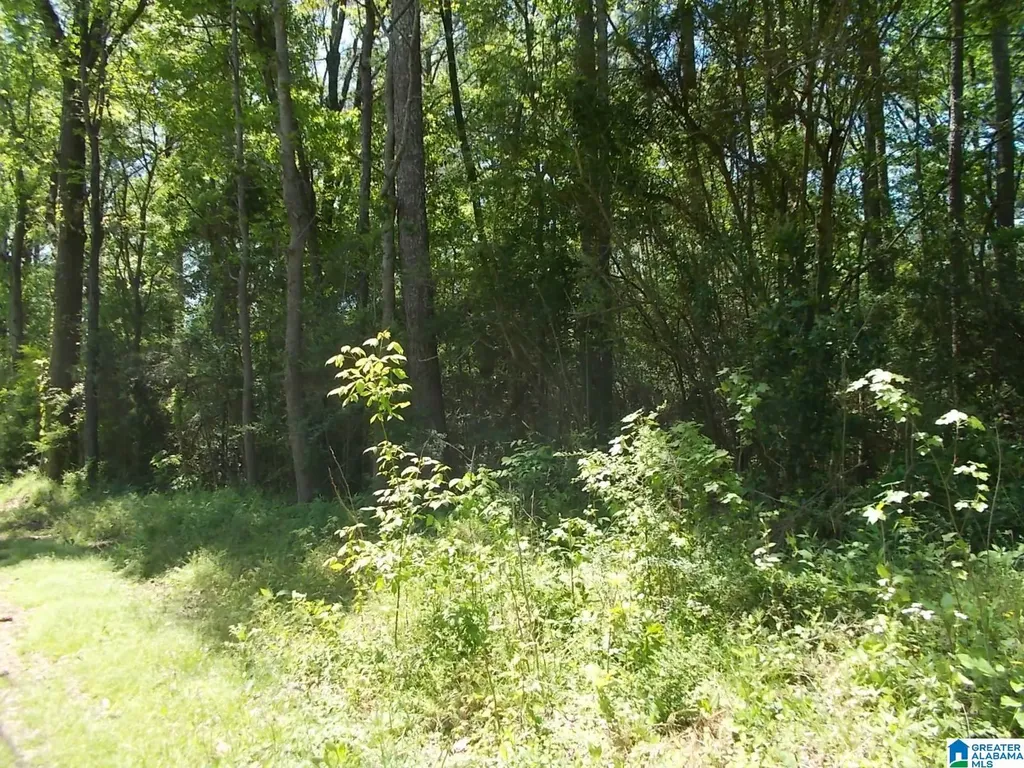 4858 Lynndale Road Graysville AL 35073