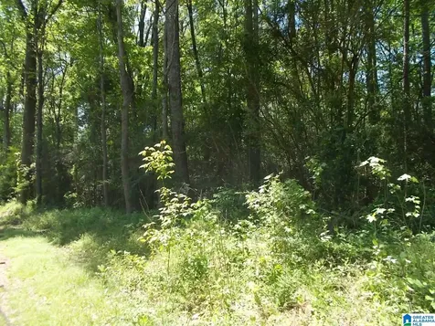 4858 Lynndale Road Graysville AL 35073