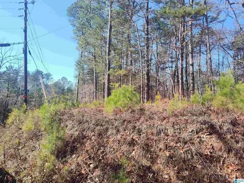 0 Valley Crest Road Sylacauga AL 35151