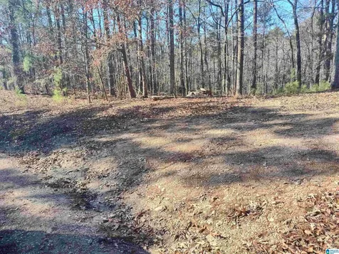 0 Valley Crest Road Sylacauga AL 35151