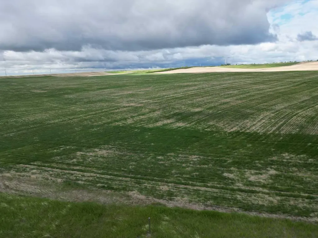 NE 1 26 19 W4 Rr 190 Rural Wheatland County AB T0J0Y0